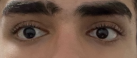 1761386516995.png