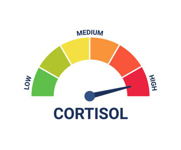 cortisol.jpg