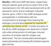 1774579506185.png 1774579506185.png